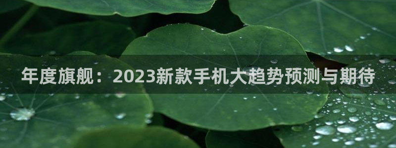 澳客官网首页足球