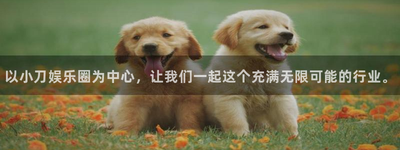 14场胜负澳客官网比分