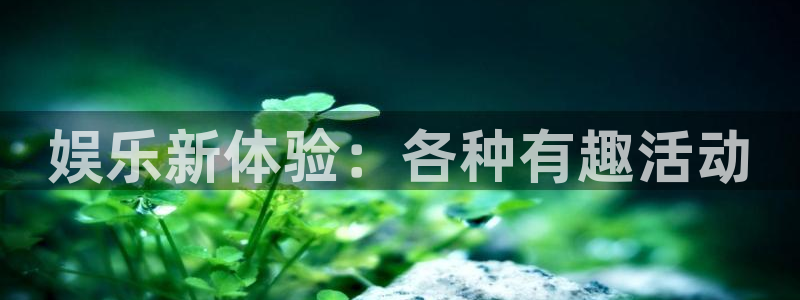 澳客网官网
