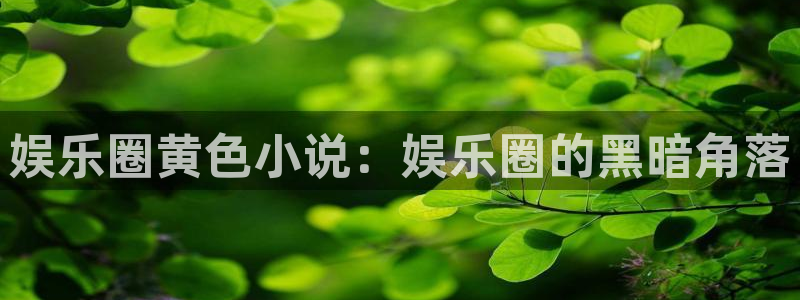 澳客okoo