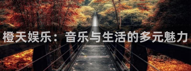 澳客足球比分即时网