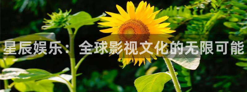 澳客网(官网)首页