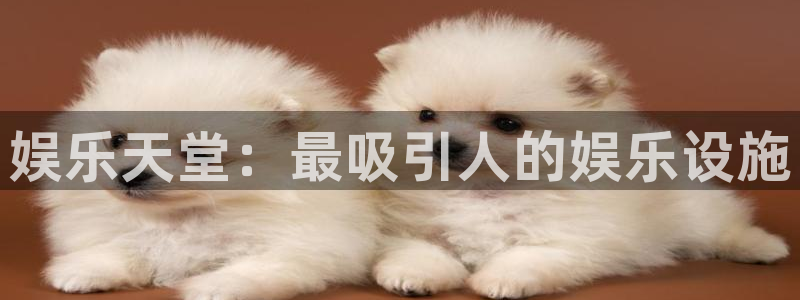 澳客足球app下载官网