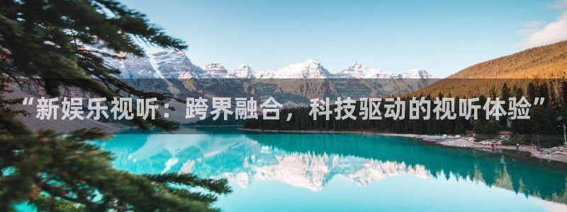 下载一个澳客竞彩足球