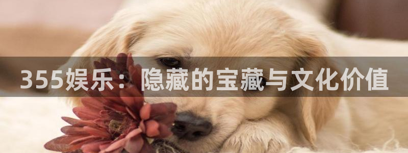 澳客网竞彩足球官网：355娱乐：隐藏的宝藏与文化价值