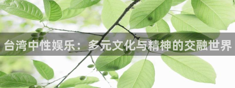 澳客比分即时比分