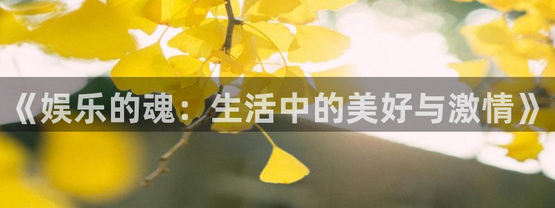 胜平负澳客官网
