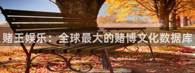 澳客网开奖结果