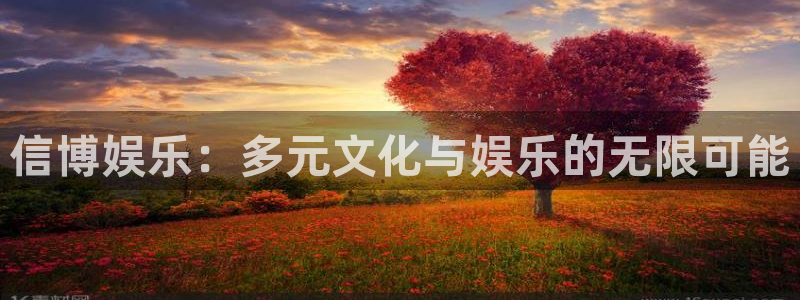 澳客足球比分