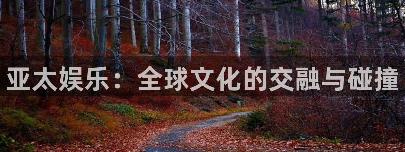 澳客网竞彩足球