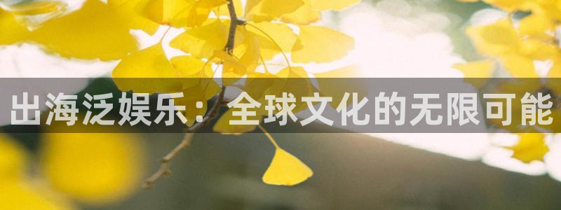 澳客即时比分完整版：出海泛娱乐：全球文化的无限可能